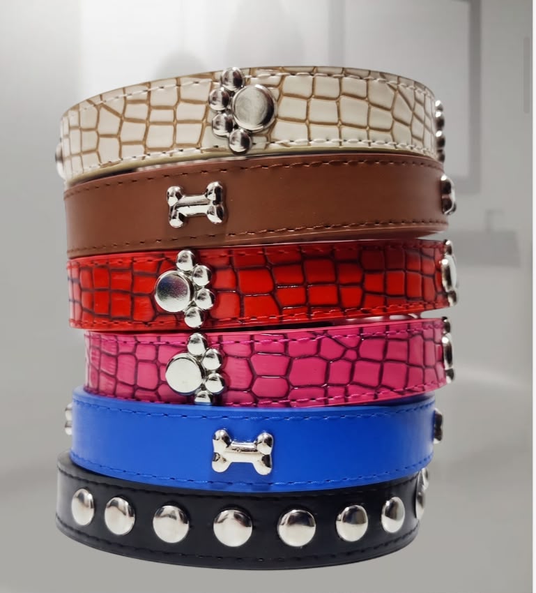 Collar para Mascota